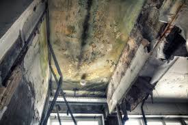 Best Mold Removal for HVAC Installations  in Hlside, IL